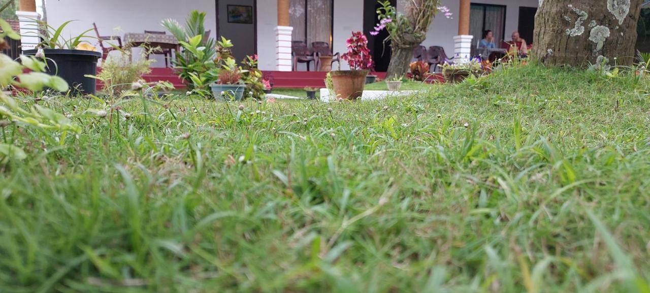 Marari Phoenix Beach Homestay Марарикулам Экстерьер фото