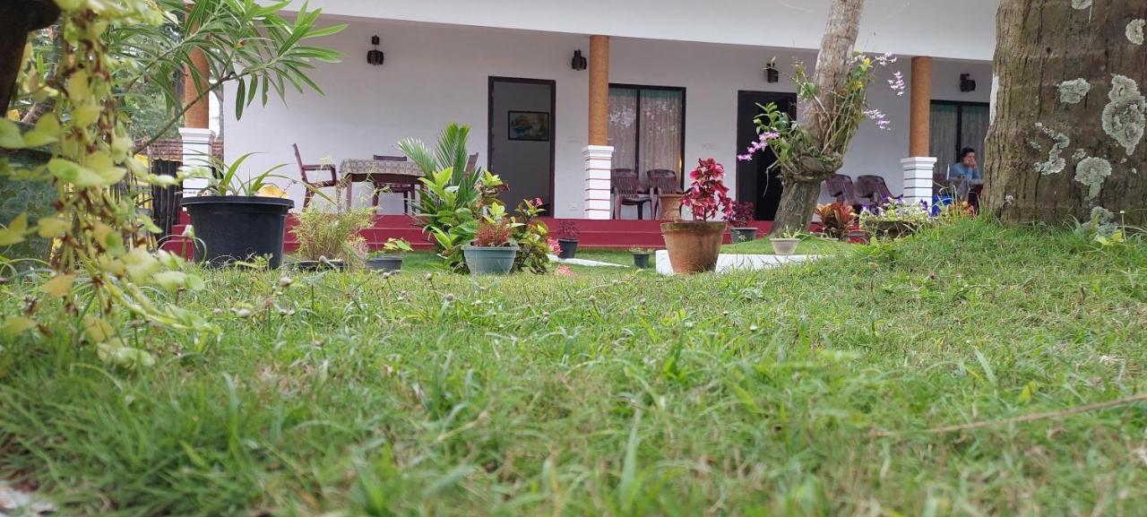 Marari Phoenix Beach Homestay Марарикулам Экстерьер фото